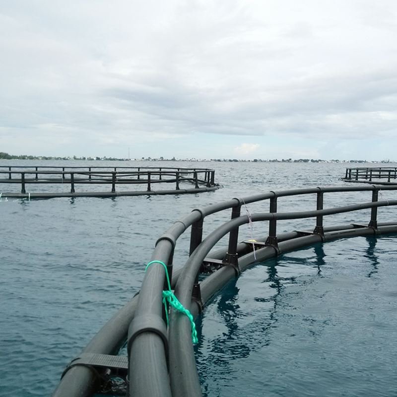 HDPE deep water fish farming round Cage with PE knotless net