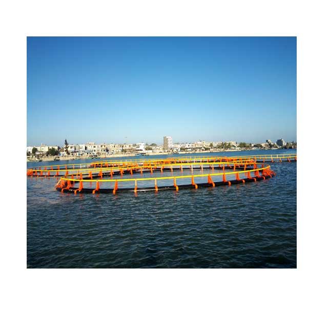 Floating Sea fish Cage HDPE 250mm Pipe Floating pe pipe for fishing cage round and square