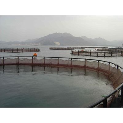 Aquaculture Fish Farming Cages Minnow Trap Fishing Net