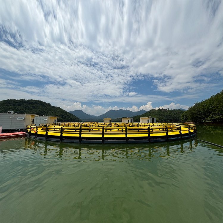 Wholesale High Quality Hdpe Fish Cage Bracket Aquaculture Fish Farming Cages