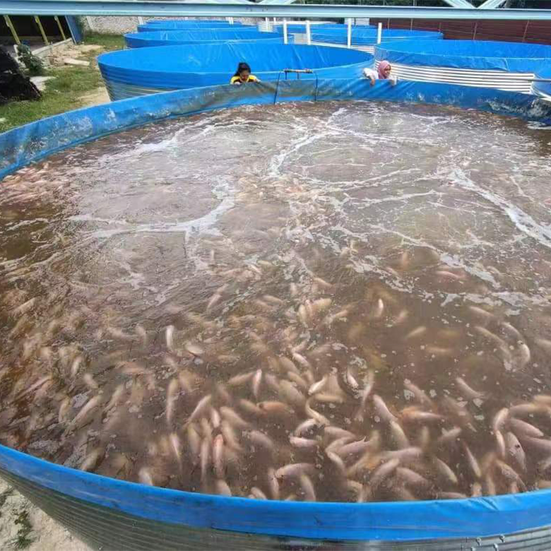 Good Price Fish Farming Tank High-Density Galvanized Canvas Fish Pond