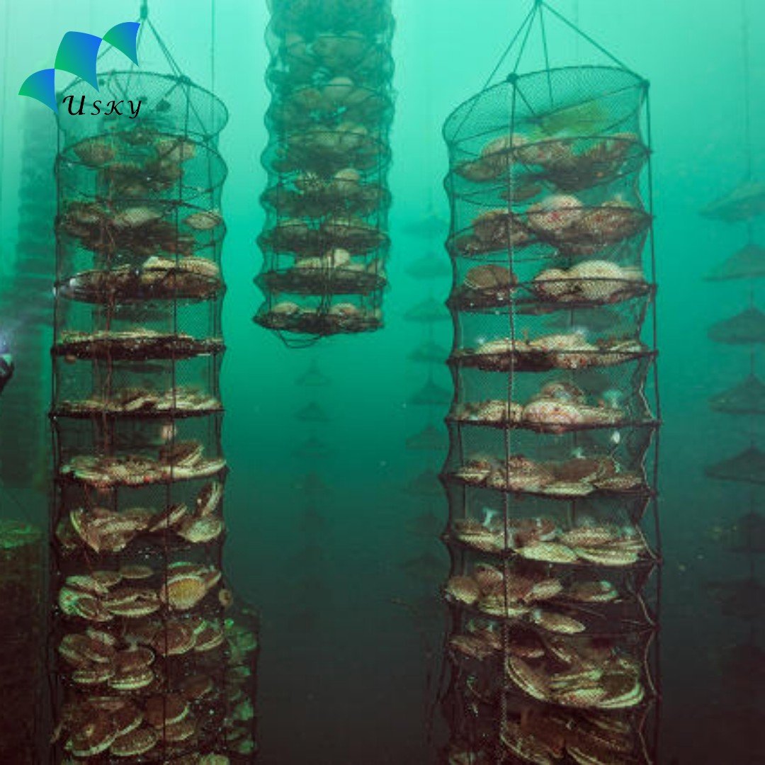 10-20 layers 15 cm distance 50 cm diameter long lines cylindrical mesh scallop oyster lantern nets cage with zipper