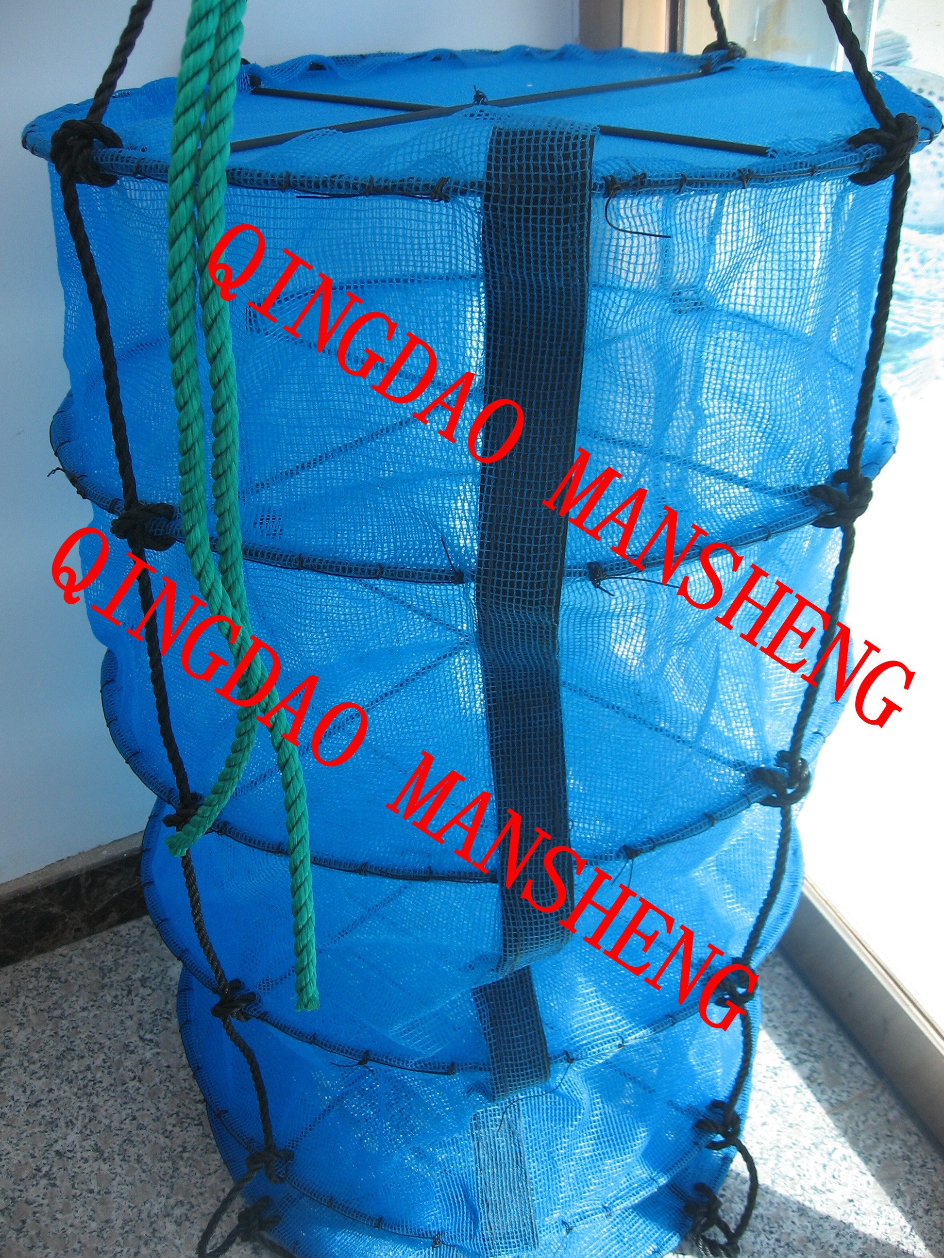 scallop aquaculture lantern net