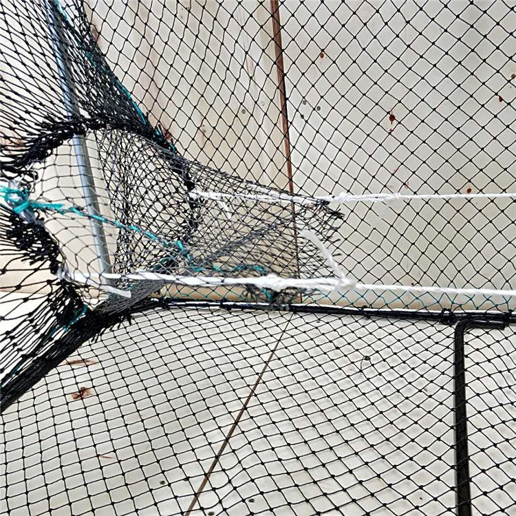 Professional Stainless Steel Framed Fishing Traps Crab Cages for Fish Farming