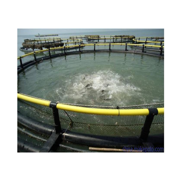 Tilapia Aquaculture Trap Floating Plastic HDPE Square Rectangle Fish Framing Cages in Pond Lake River Fresh Water
