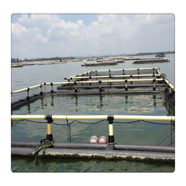 Tilapia Aquaculture Trap Floating Plastic HDPE Square Rectangle Fish Framing Cages in Pond Lake River Fresh Water