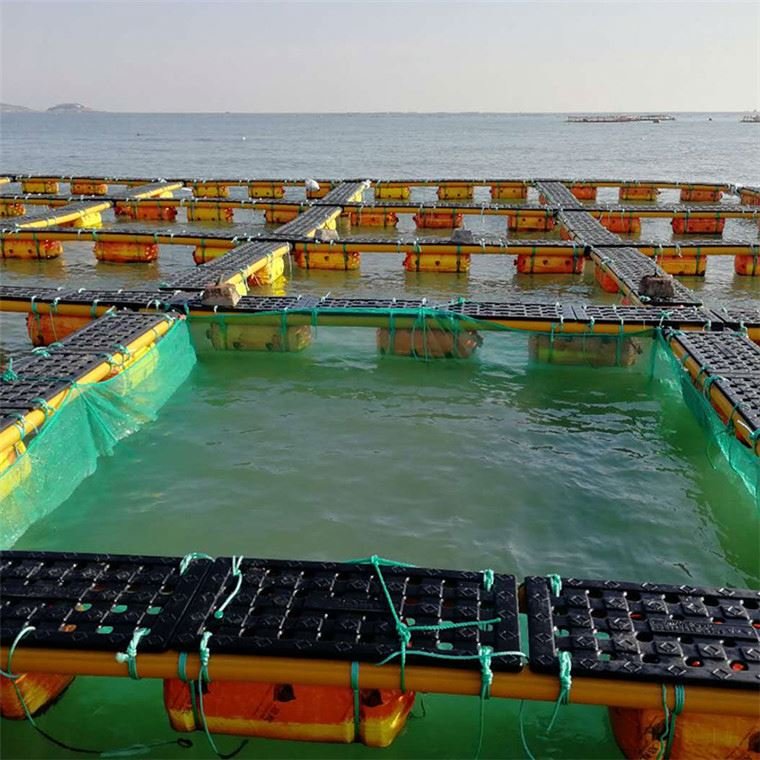 Fish farming water plastic aquaculture equipment net cage floating system