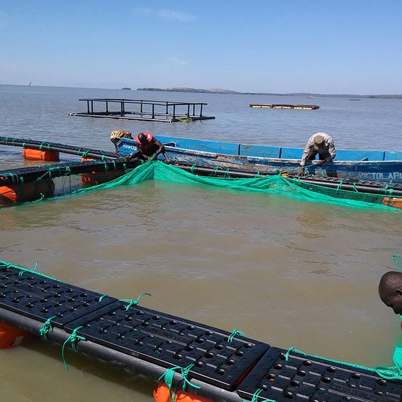 Fish farming water plastic aquaculture equipment net cage floating system