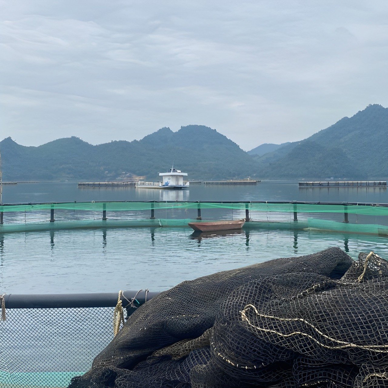 Aquaculture Trap Pisciculture Aquaculture Float Net Fish Cage Cage Floating Fish Made In Vietnam Manufacturer Best Quality