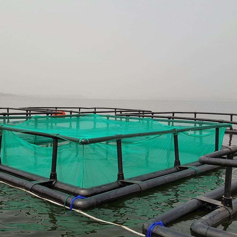 Fish Cage/Plastic Pontoon/Floating Aquaculture for Fishing