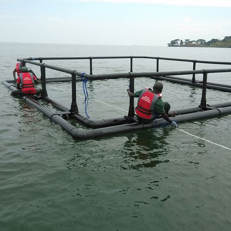 Fish Cage/Plastic Pontoon/Floating Aquaculture for Fishing