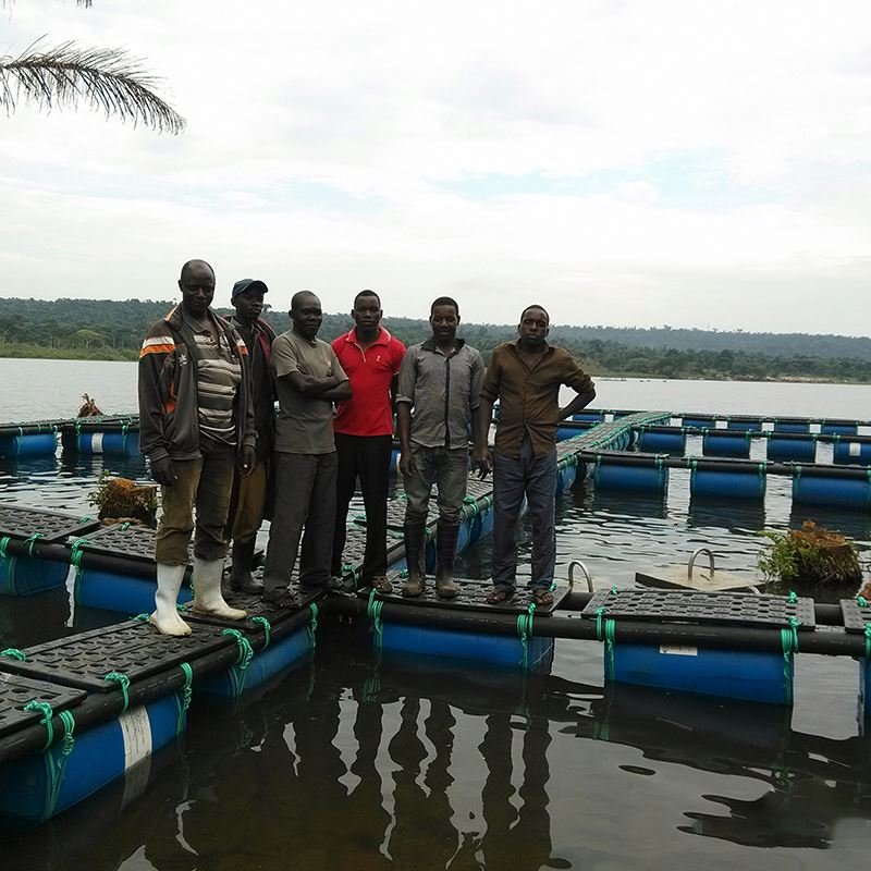 Fish Cage/Plastic Pontoon/Floating Aquaculture for Fishing