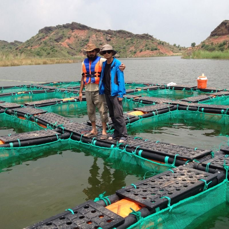 Fish Cage/Plastic Pontoon/Floating Aquaculture for Fishing