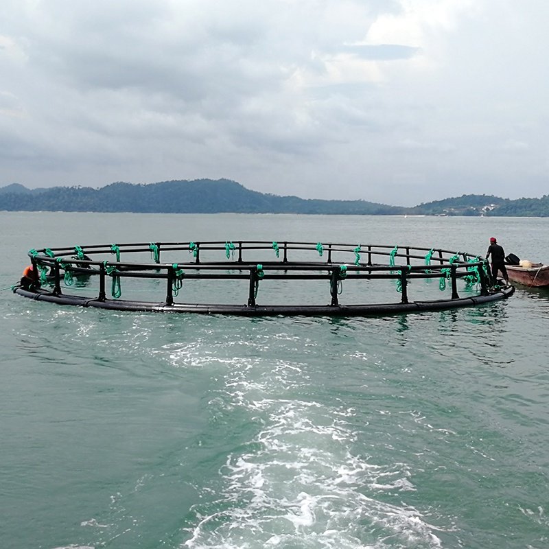 High Strength Aquaculture Fish Cage Trap for Sale