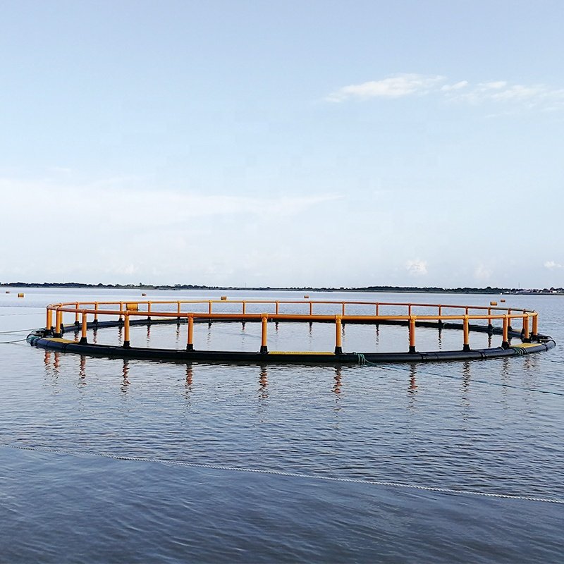 High Strength Aquaculture Fish Cage Trap for Sale