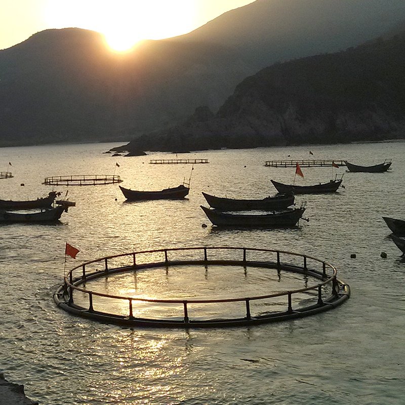 High Strength Aquaculture Fish Cage Trap for Sale