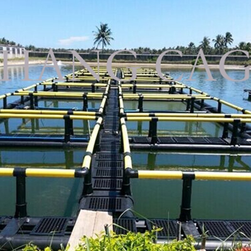 HDPE Floating Aquaculture Tilapia Fishing Net Cage Traps