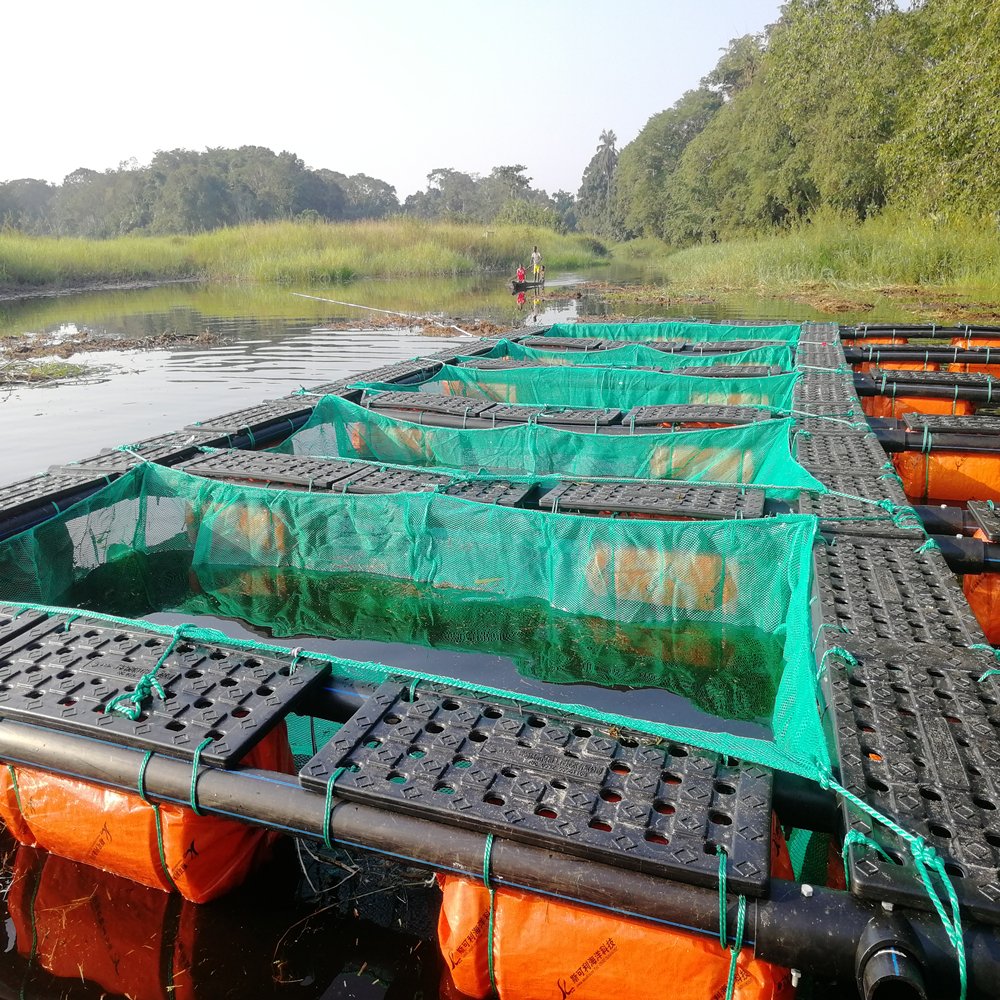 HDPE Floating Aquaculture Tilapia Fishing Net Cage Traps