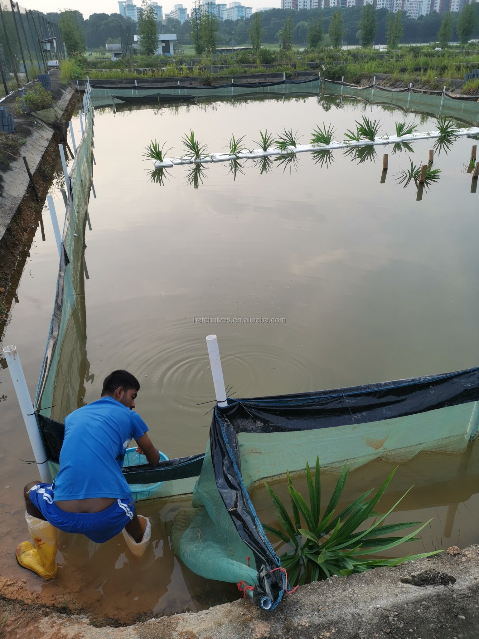 Anti-escape aquaculture cage Anti-escape net Fish pond Seine net