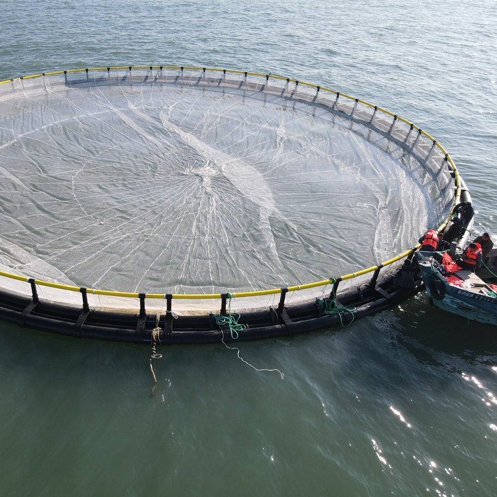 HDPE Floating Cage Fish Farming Cages for Tilapia Aquaculture