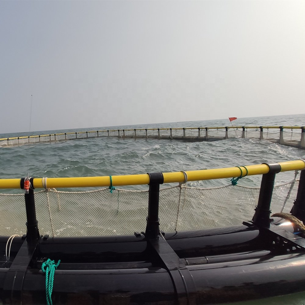 HDPE Floating Cage Fish Farming Cages for Tilapia Aquaculture