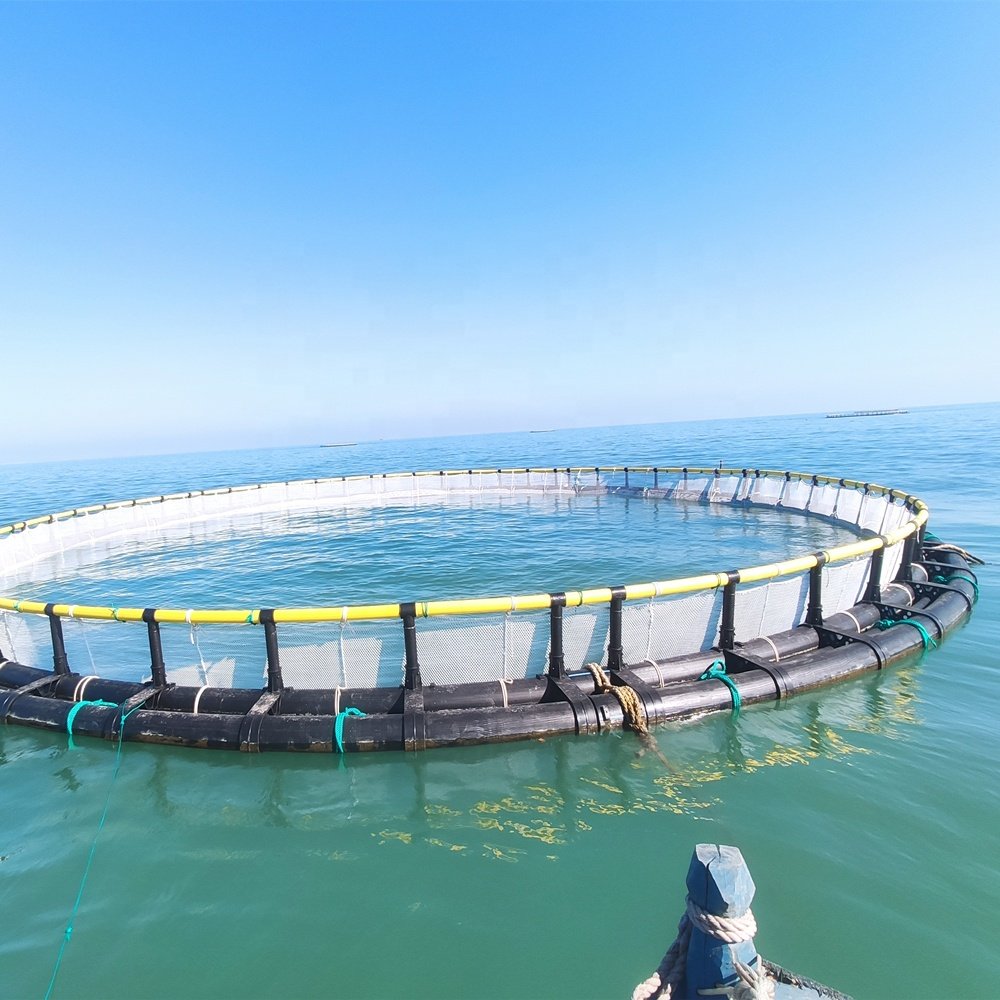 HDPE Floating Cage Fish Farming Cages for Tilapia Aquaculture