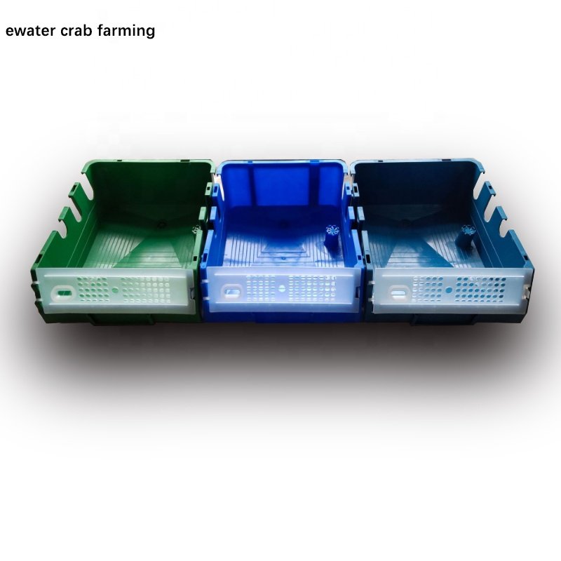indoor mud crab farm equipment mud soft shell crab farming box system for sale