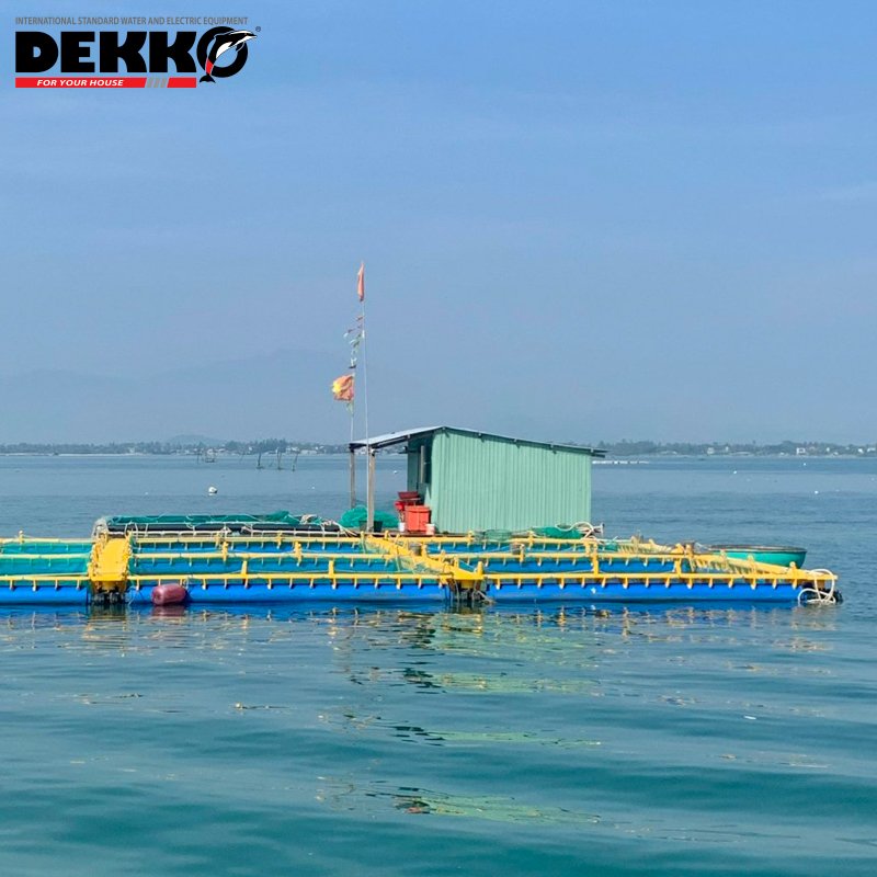 Hdpe Floating Fish Farming Cage Hdpe Bracket For Fish HDPE Double Pipe Round Raft High Quality For Sale