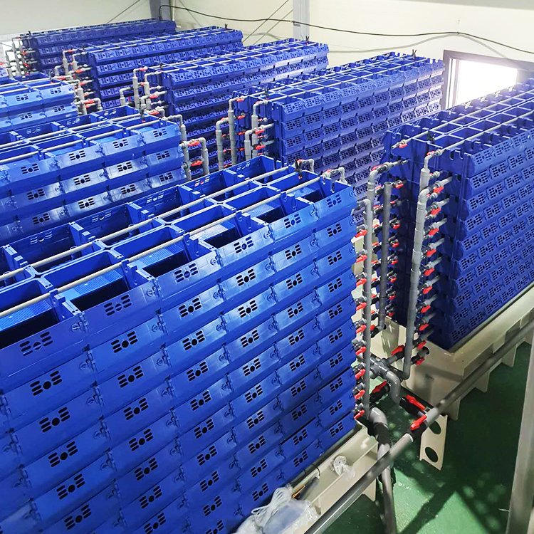 fish egg incubatorras aquaculture systems/Mud Crab Farming Box/crab box