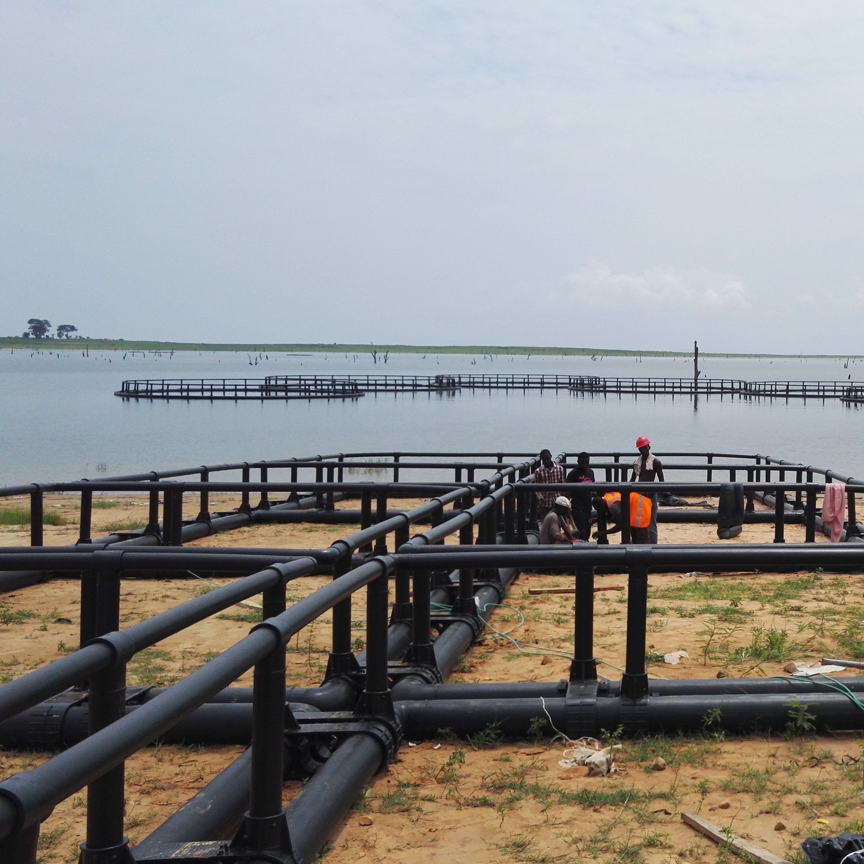 China factory Price sea fishery breeding cage fish floating cage