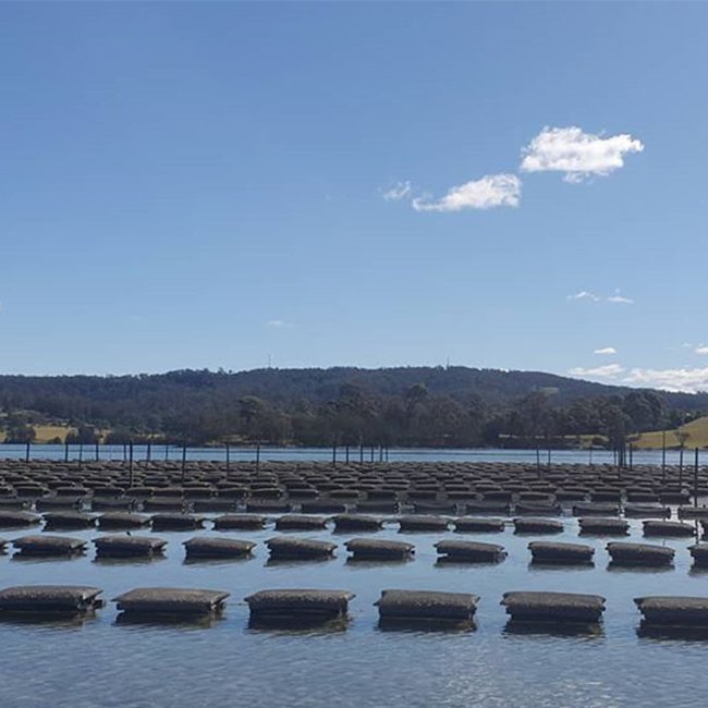 PE oyster bags Oyster mesh aquaculture traps