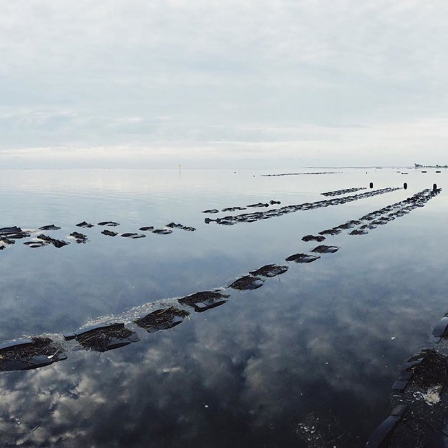 PE oyster bags Oyster mesh aquaculture traps