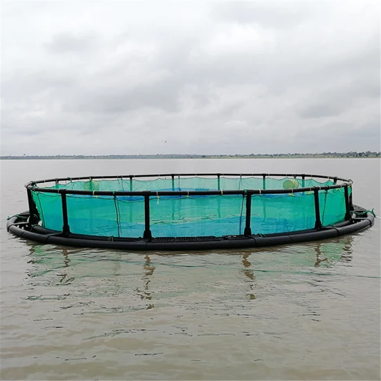 HDPE Floating Fish Cages with Aquaculture Net Equipment for Fish Farming