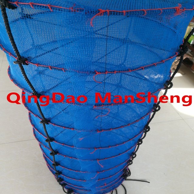 scallop farming lantern nets for Scallop oyster culture