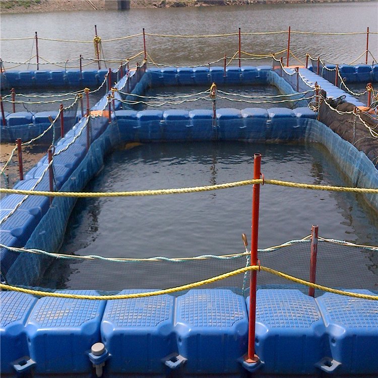 Alibaba products fish farming cage float best products to import to usa
