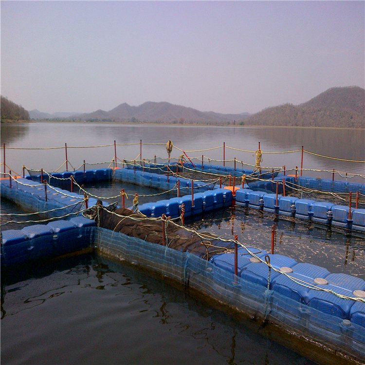 Alibaba products fish farming cage float best products to import to usa