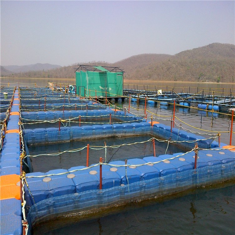 Alibaba products fish farming cage float best products to import to usa