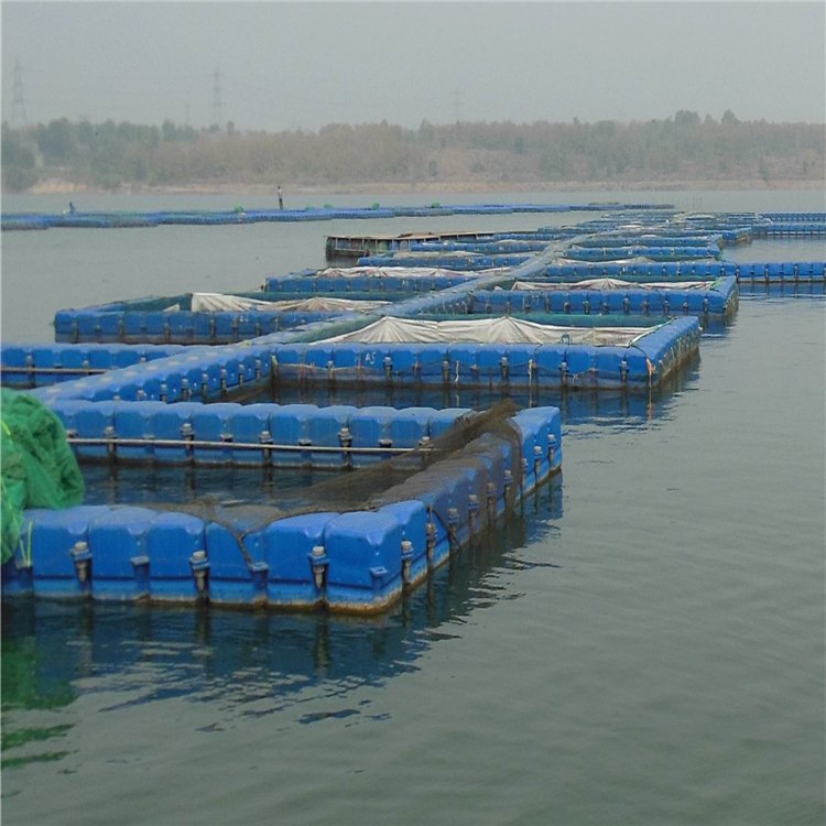 Alibaba products fish farming cage float best products to import to usa