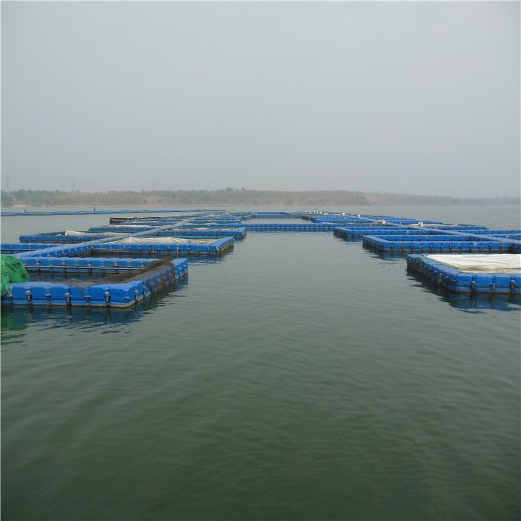Alibaba products fish farming cage float best products to import to usa