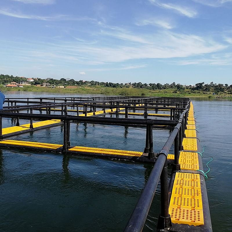 2022 aquaculture traps fish Square Cage floating Leisure Square Cage fish farming equipment
