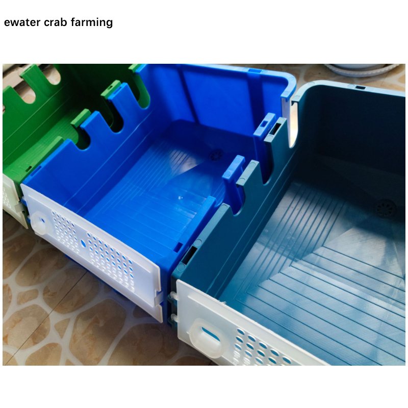 Plastic crab farming boxes for vertical mud cab aquaculture