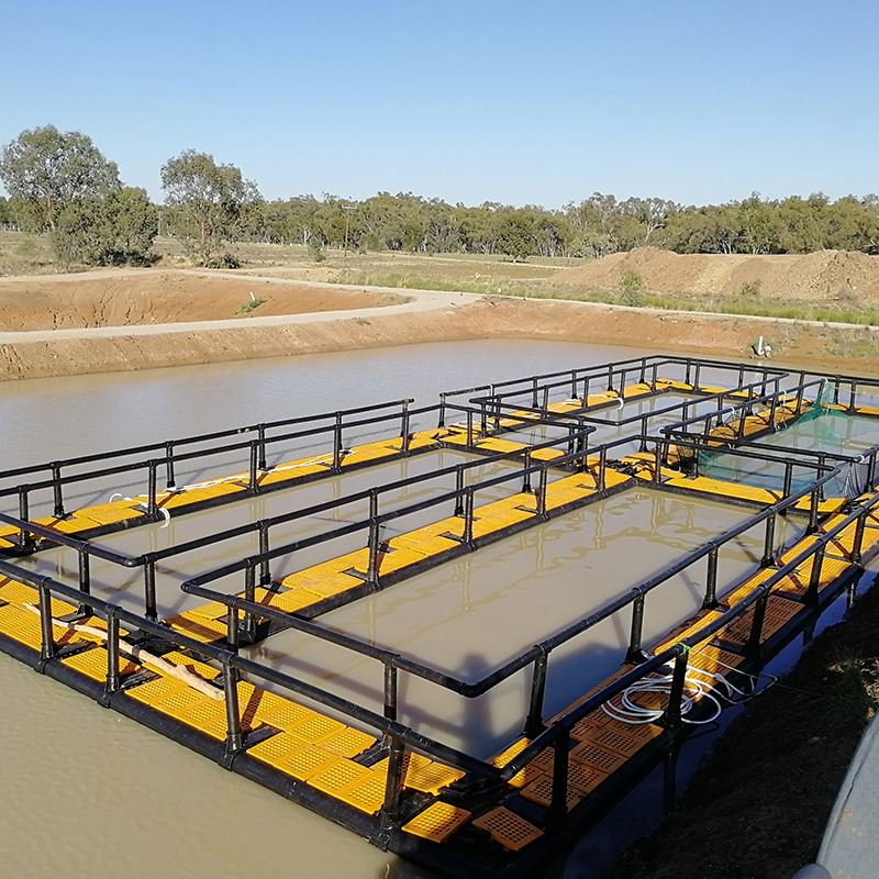 2022 aquaculture traps fish cage floating Leisure Cage fish farming equipment
