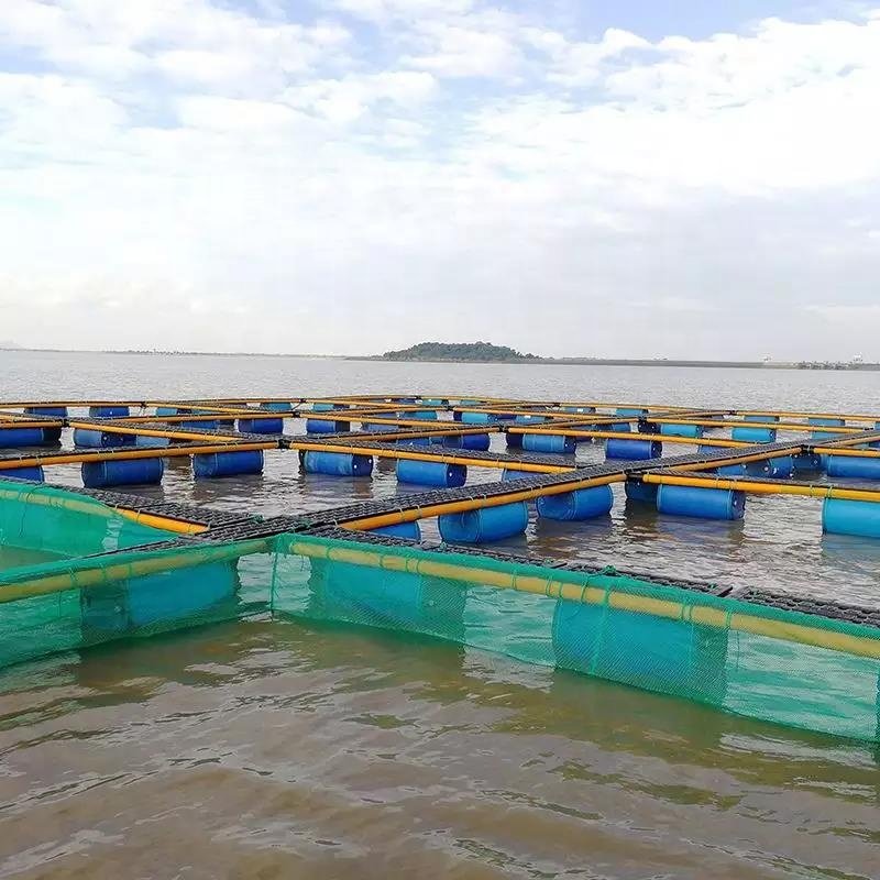 China high quality 0.5cm meshTilapia Aquaculture Hdpe Plastic Knotless Netting Fish Farm Net Cage Fishing Breeding Nets