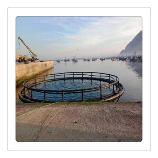 aquaculture traps for offshore cages floating cage for fish