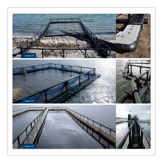 aquaculture traps for offshore cages floating cage for fish