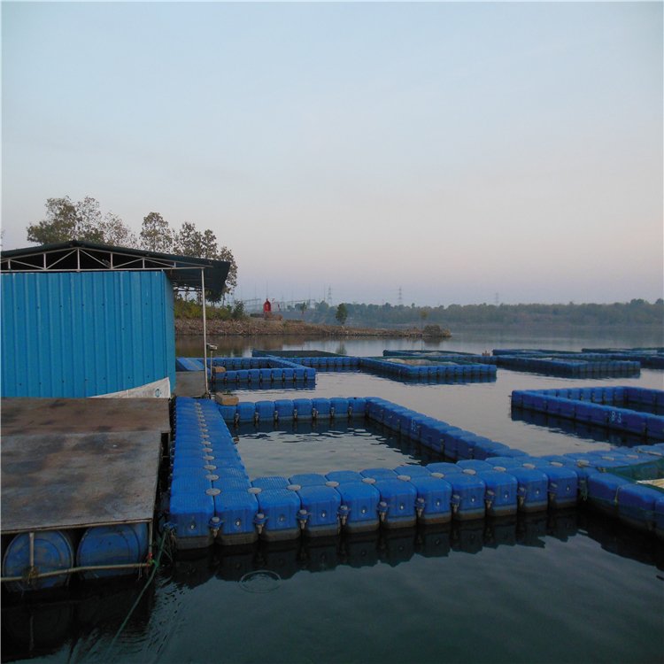 China products farming fish cage best selling products in europe