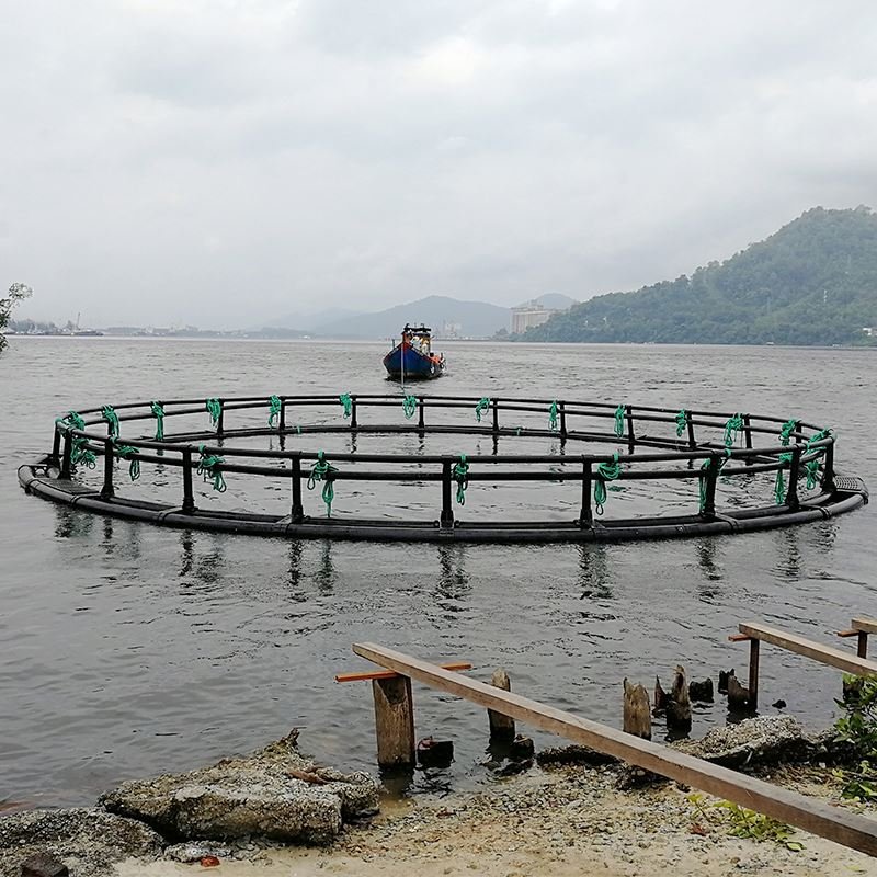 stainless steel shrimp fish net fish cage floating
