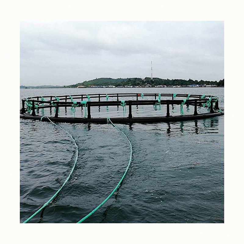 stainless steel shrimp fish net fish cage floating