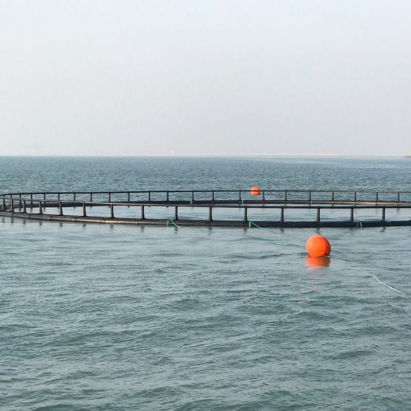 stainless steel shrimp fish net fish cage floating
