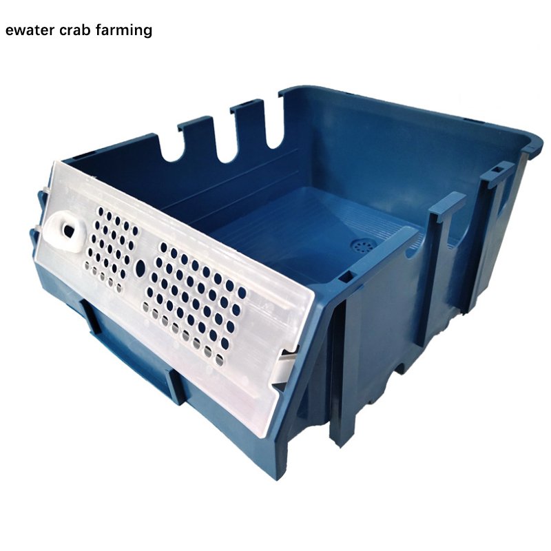 Mud crab farming indoor ras aquaculture system for sale